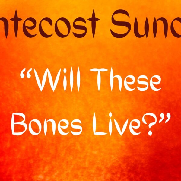 Will These Bones Live?