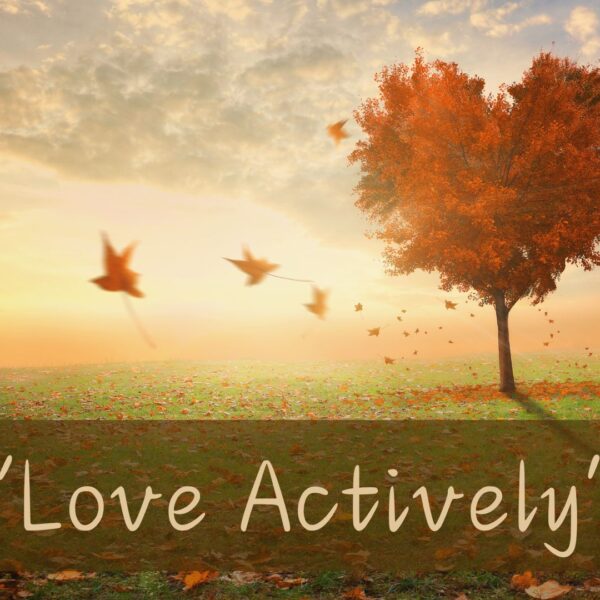 Love Actively